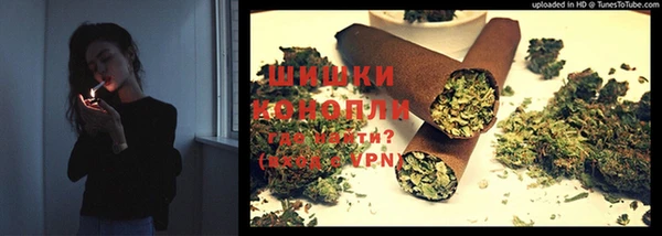 марихуана Белокуриха