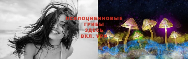 хмурый Белоозёрский