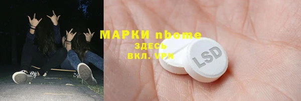 сатива Пересвет
